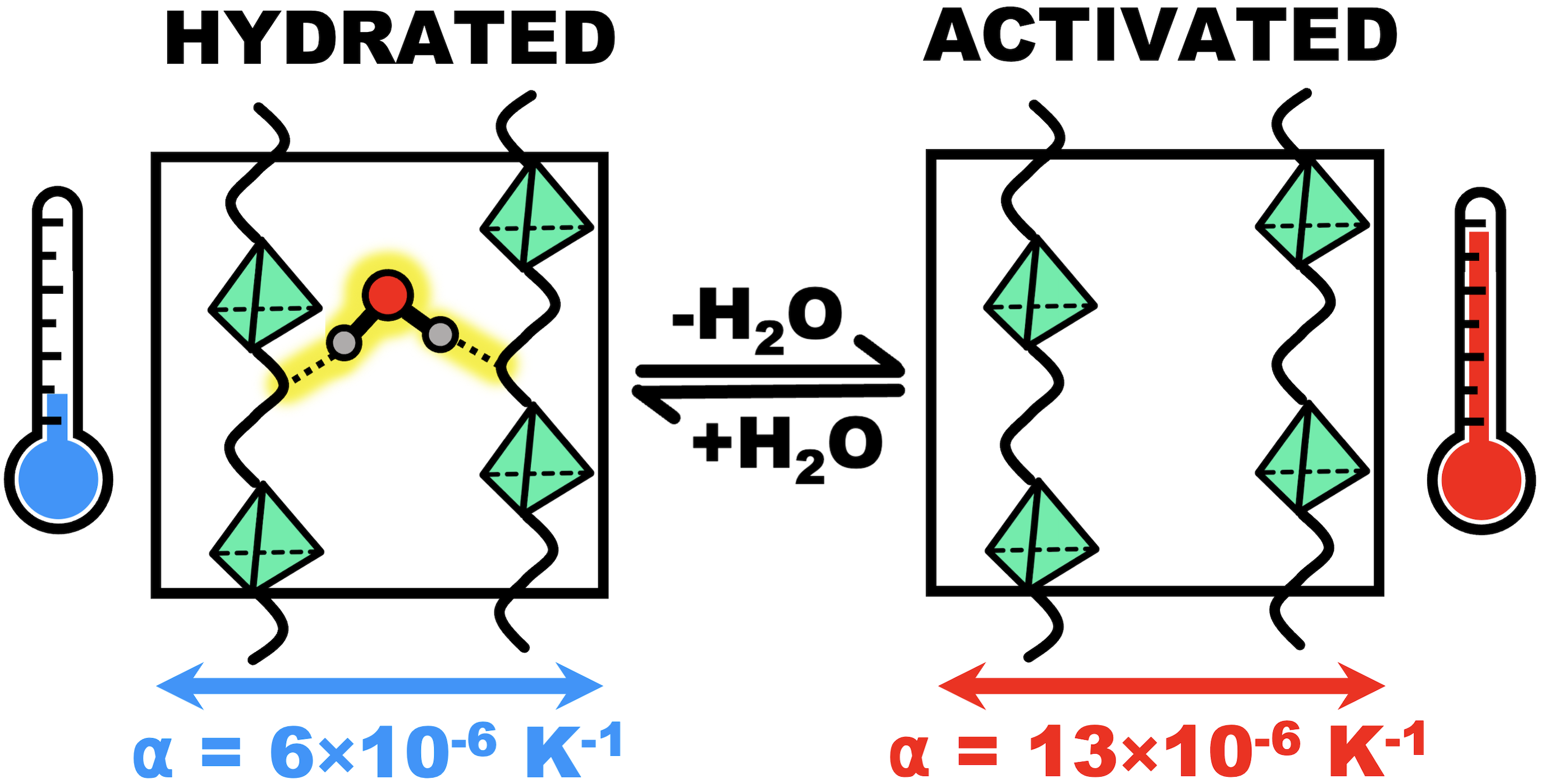 Thermal expansion of GUT-2 influenced by pore-confined water